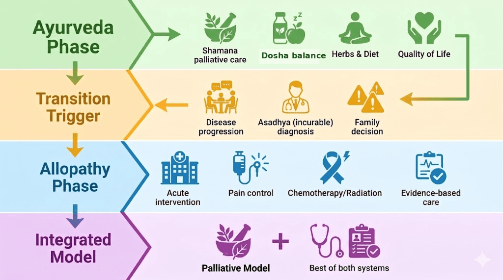 Integrated care model diagram